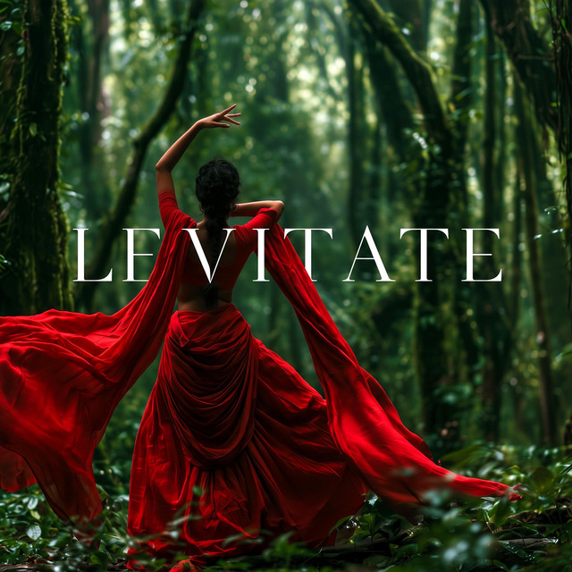 Levitate album cover